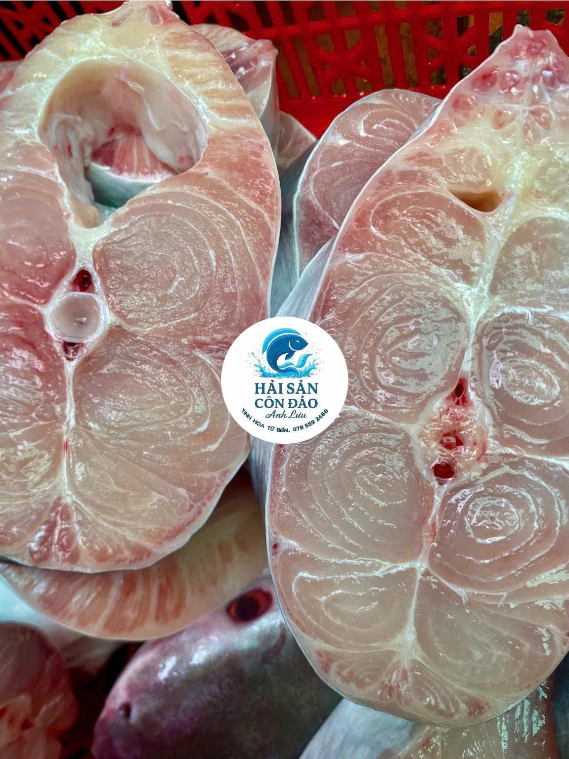 Cá thu cắt khoanh tại Hải Sản Côn Đảo Anh Lưu